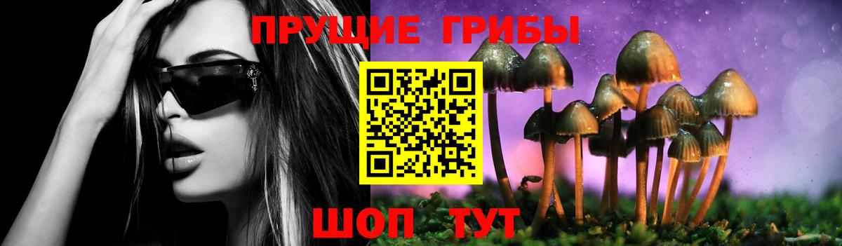 Кирово-Чепецк  Псилоцибиновые грибы Magic Shrooms  Вход с VPN 